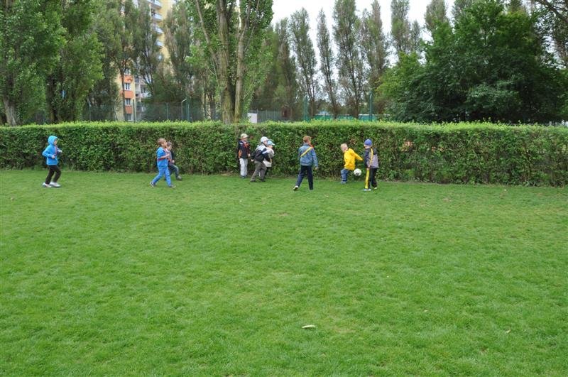 DSC_0184 (Medium)