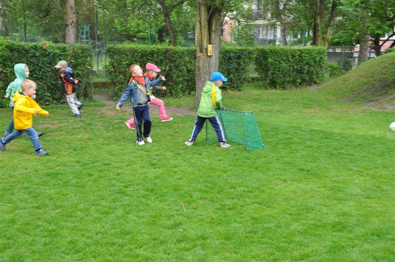 DSC_0185 (Medium)