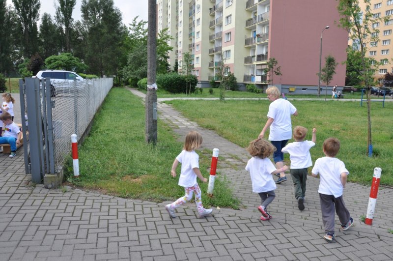 DSC_0087 (Medium)