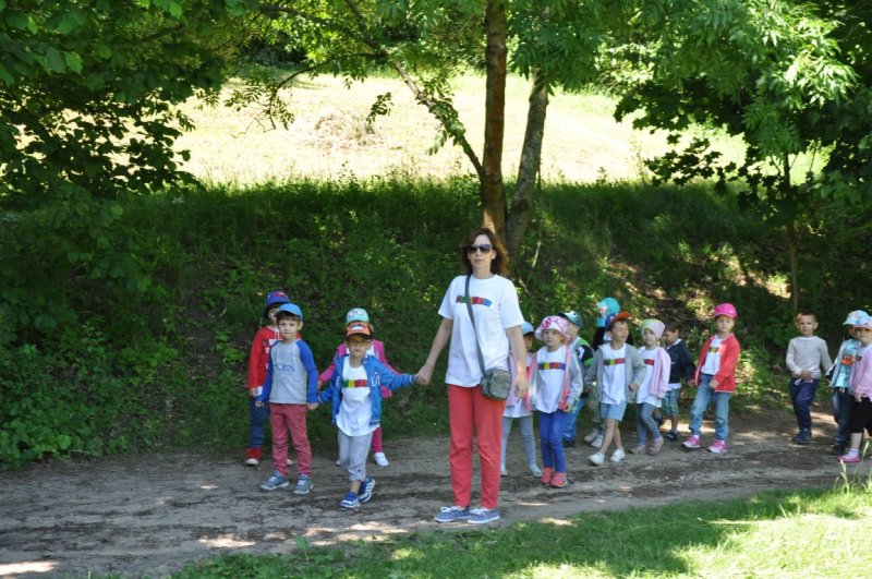 DSC_0046 (Medium)