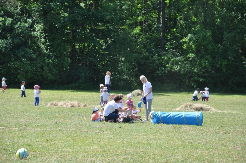 DSC_0062 (Medium)