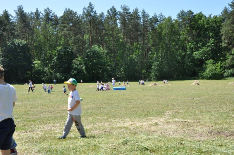 DSC_0065 (Medium)