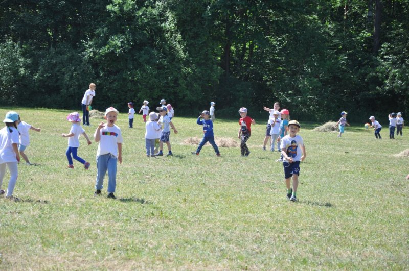 DSC_0071 (Medium)