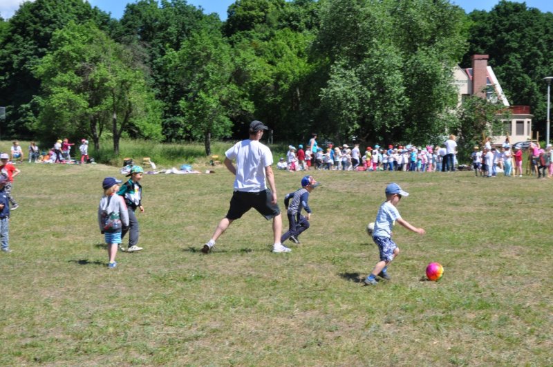 DSC_0081 (Medium)