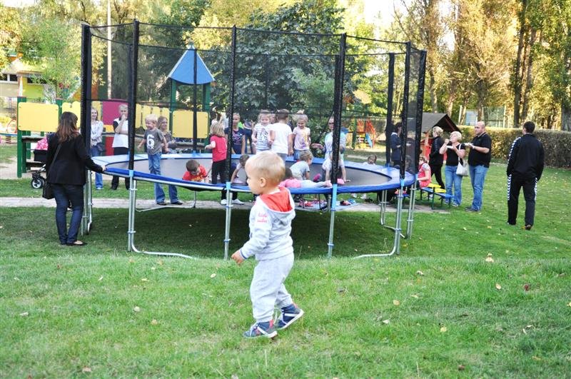 DSC_0240 (Medium)